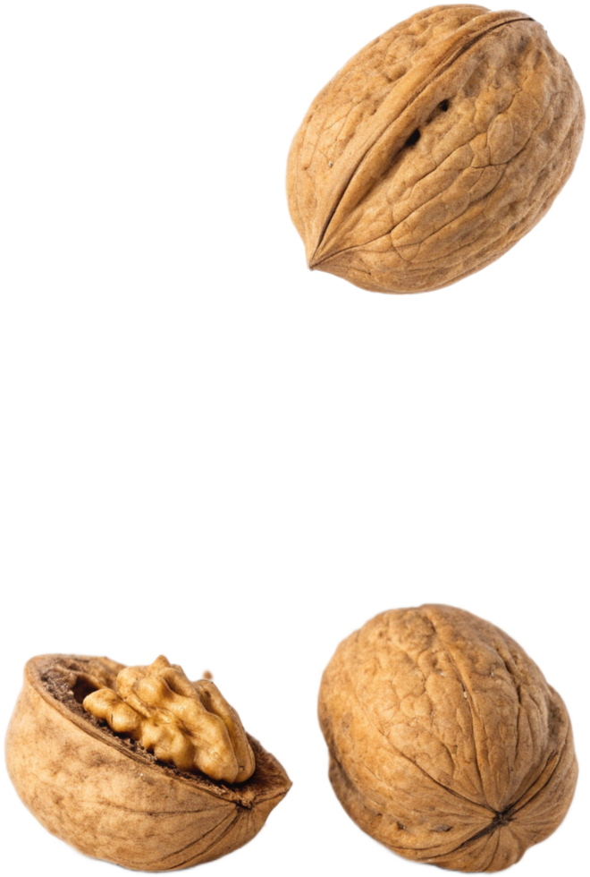 Delicious and Nutritious Walnuts Isolated on Transparant background png