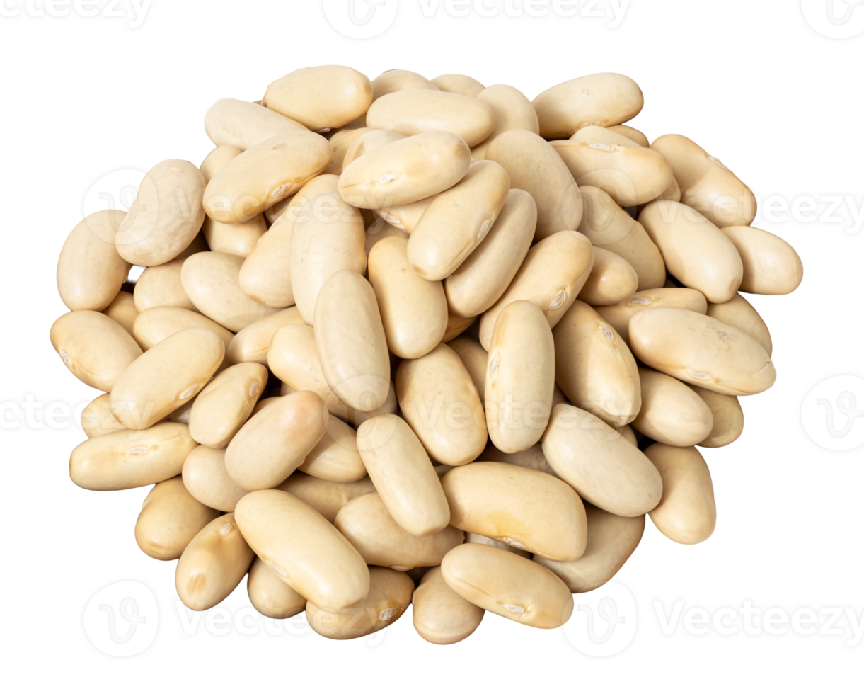 Pile of raw cannellini beans cu png