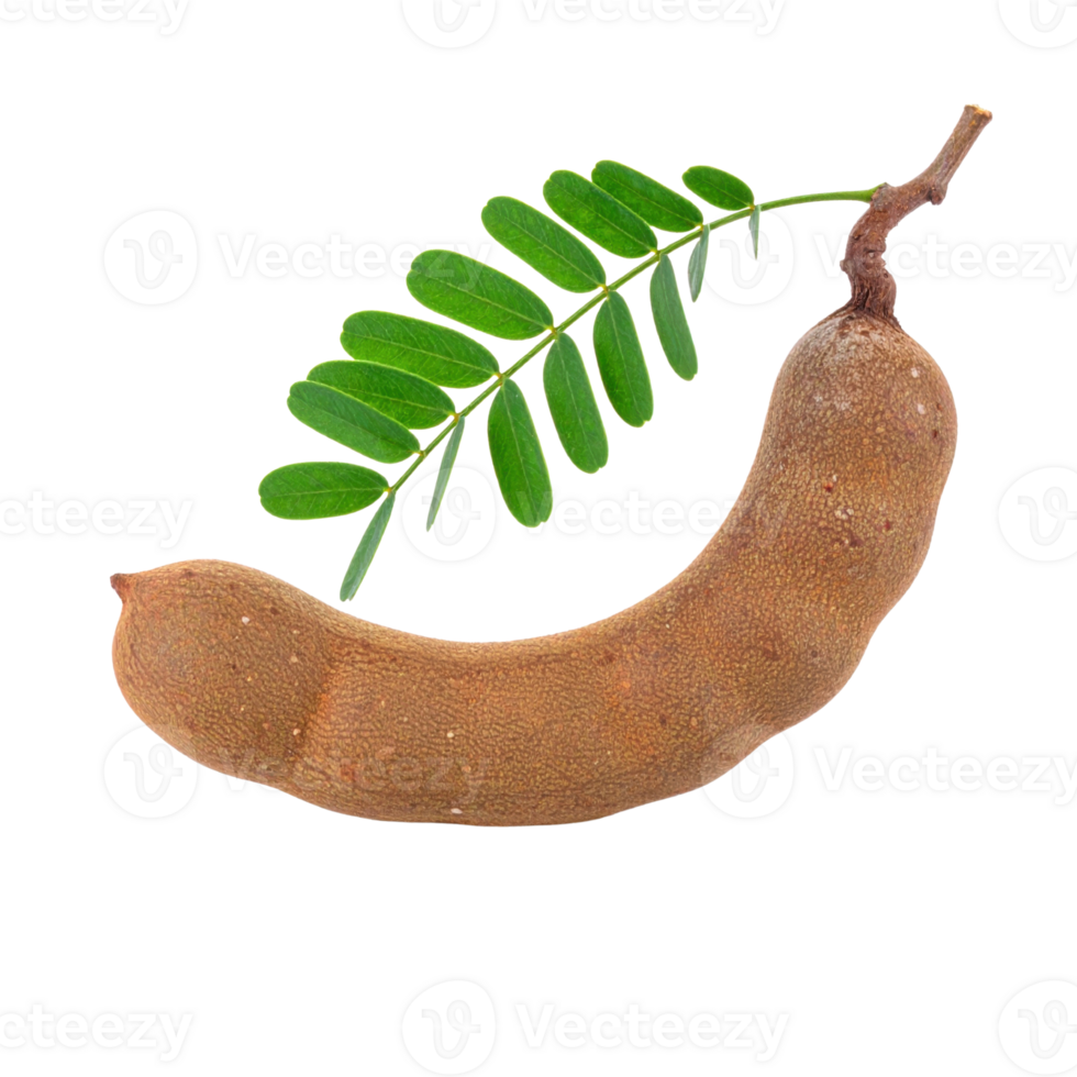 Tamarind pod with green leaf png