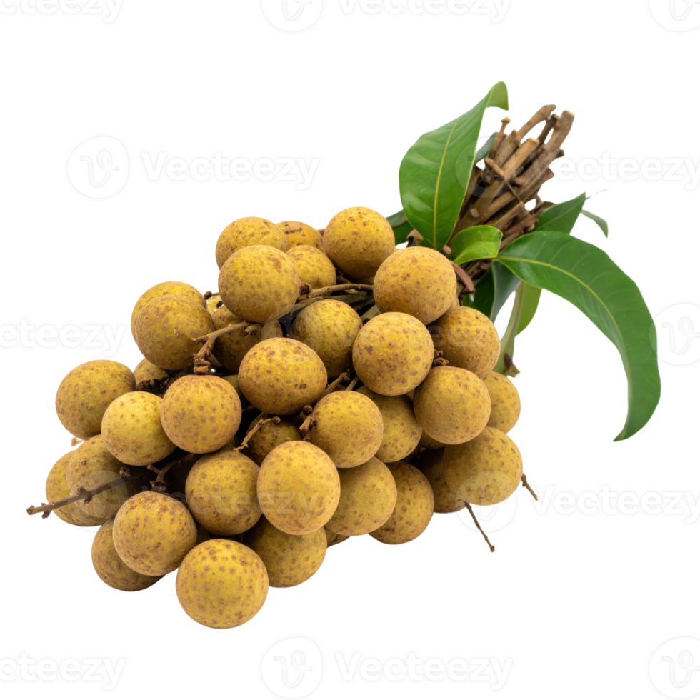 Longan fruit cluster with green leaves png