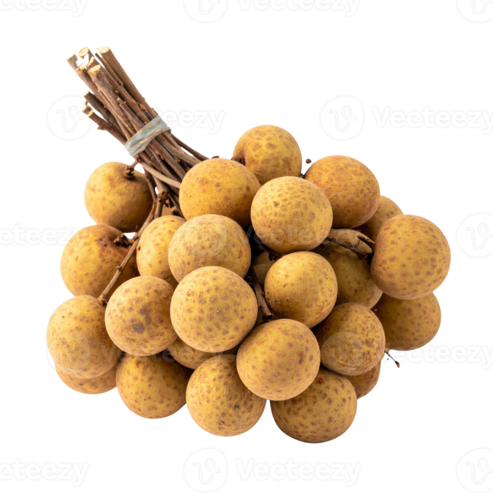 Longan fruit cluster on branches, fresh and ripe png