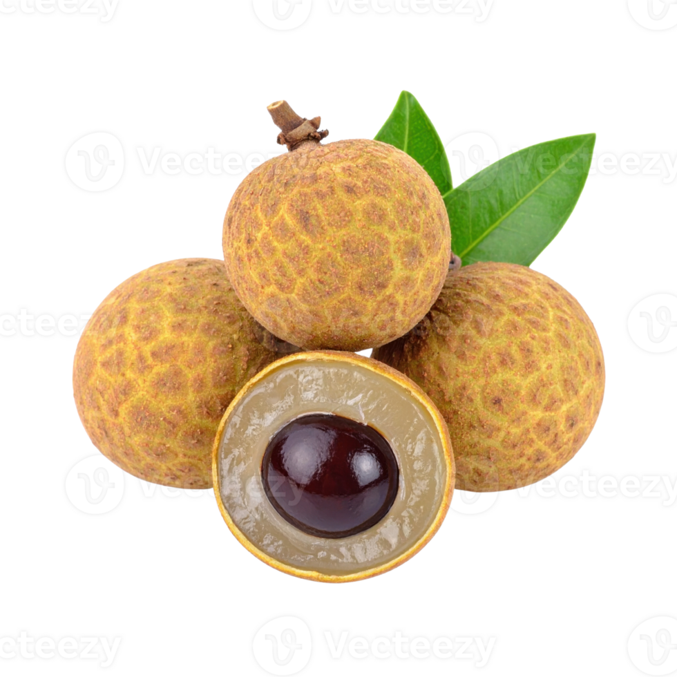 Longan fruit with leaves on transparency background png