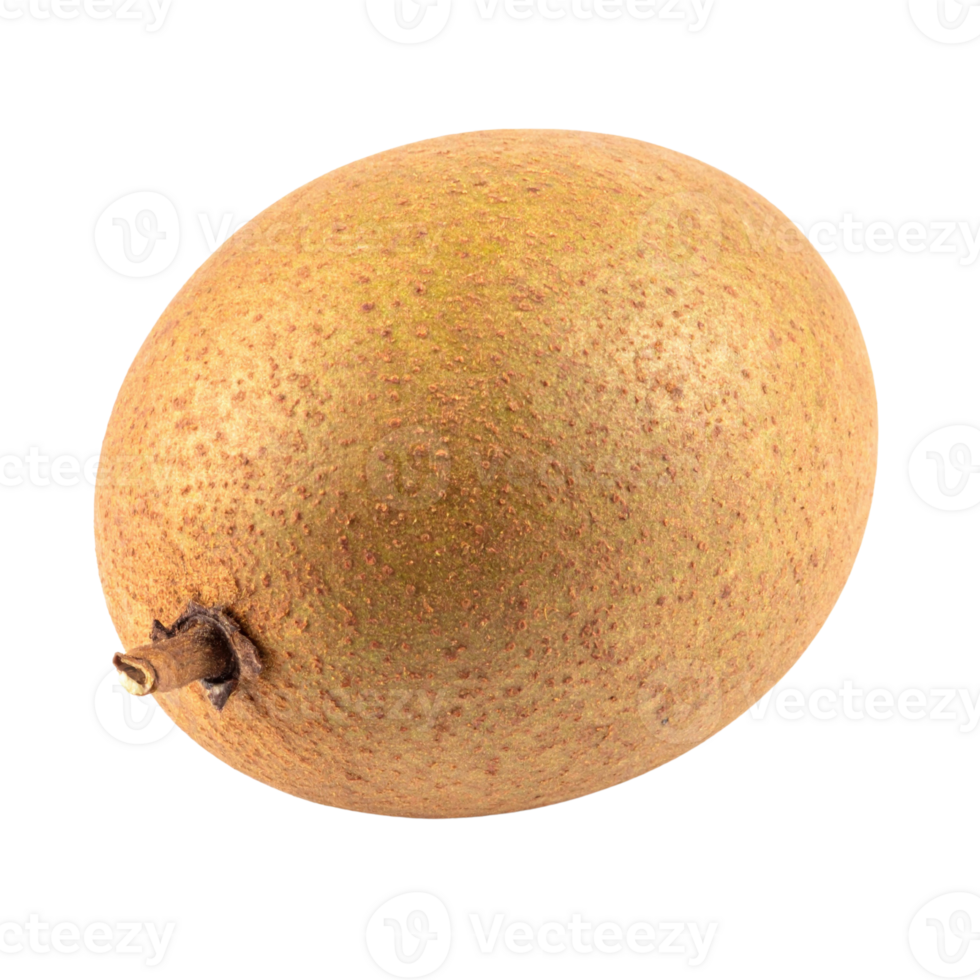 Single fresh sapodilla fruit on transparency background png