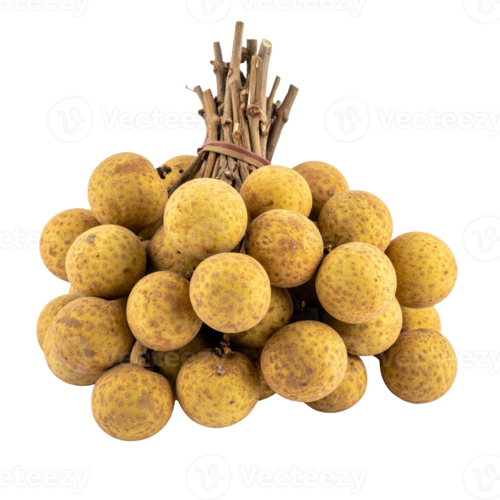 Longan fruit cluster on branches, sweet and tropical png
