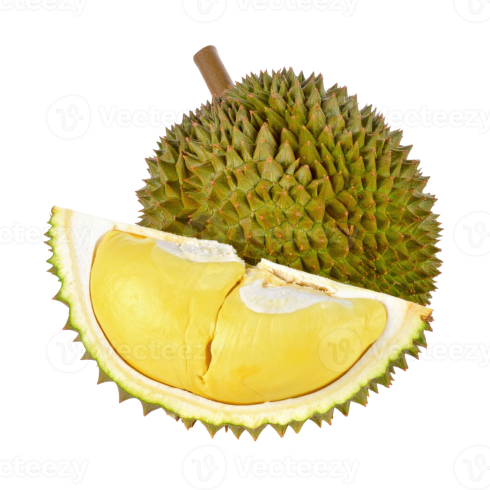 Durian fruit with spiky shell and creamy flesh. png