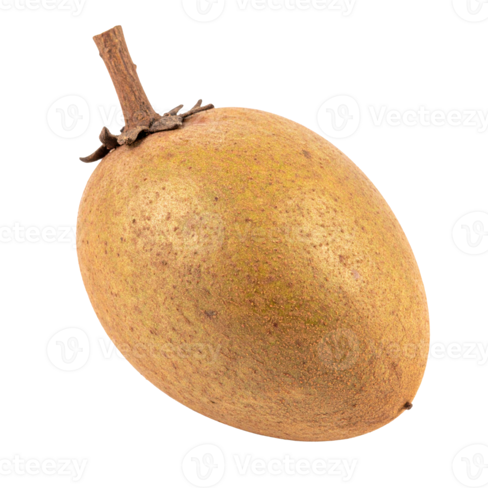 Sapodilla fruit with brown skin on transparency background png