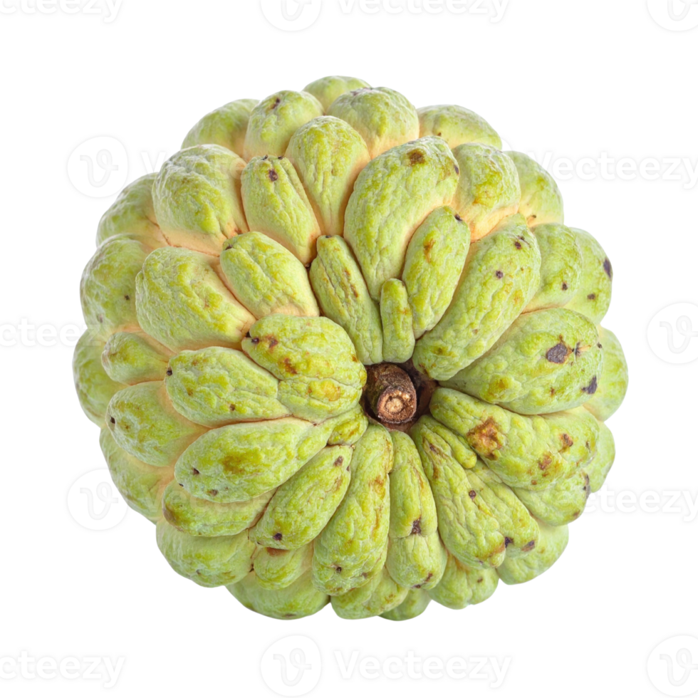 Custard apple with textured png
