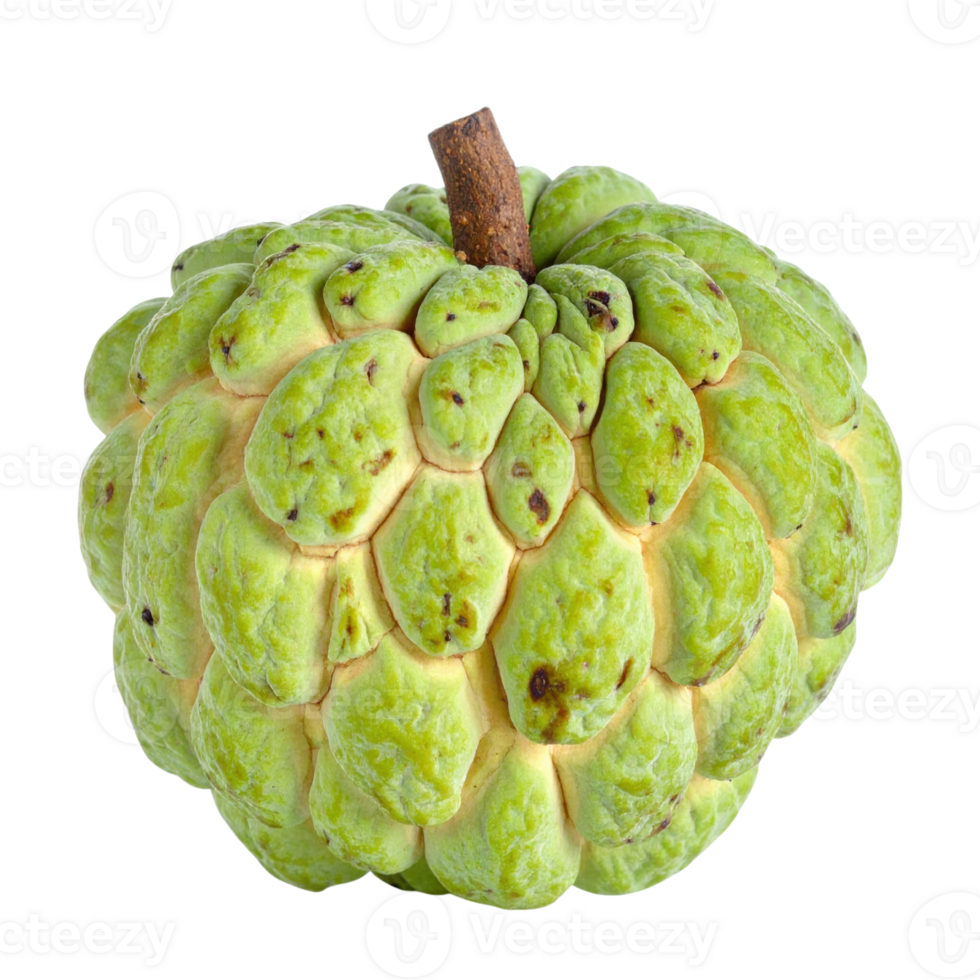 Custard apple with textured gree. png