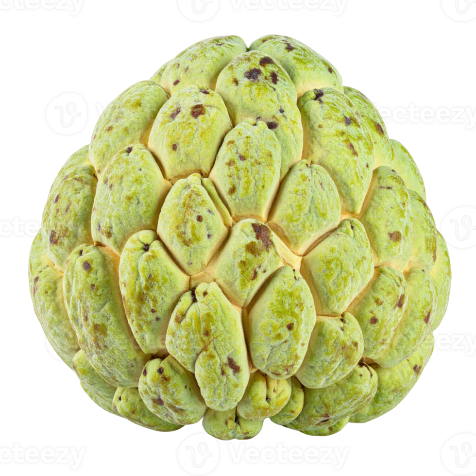 Custard apple with green bumpy skin texture png