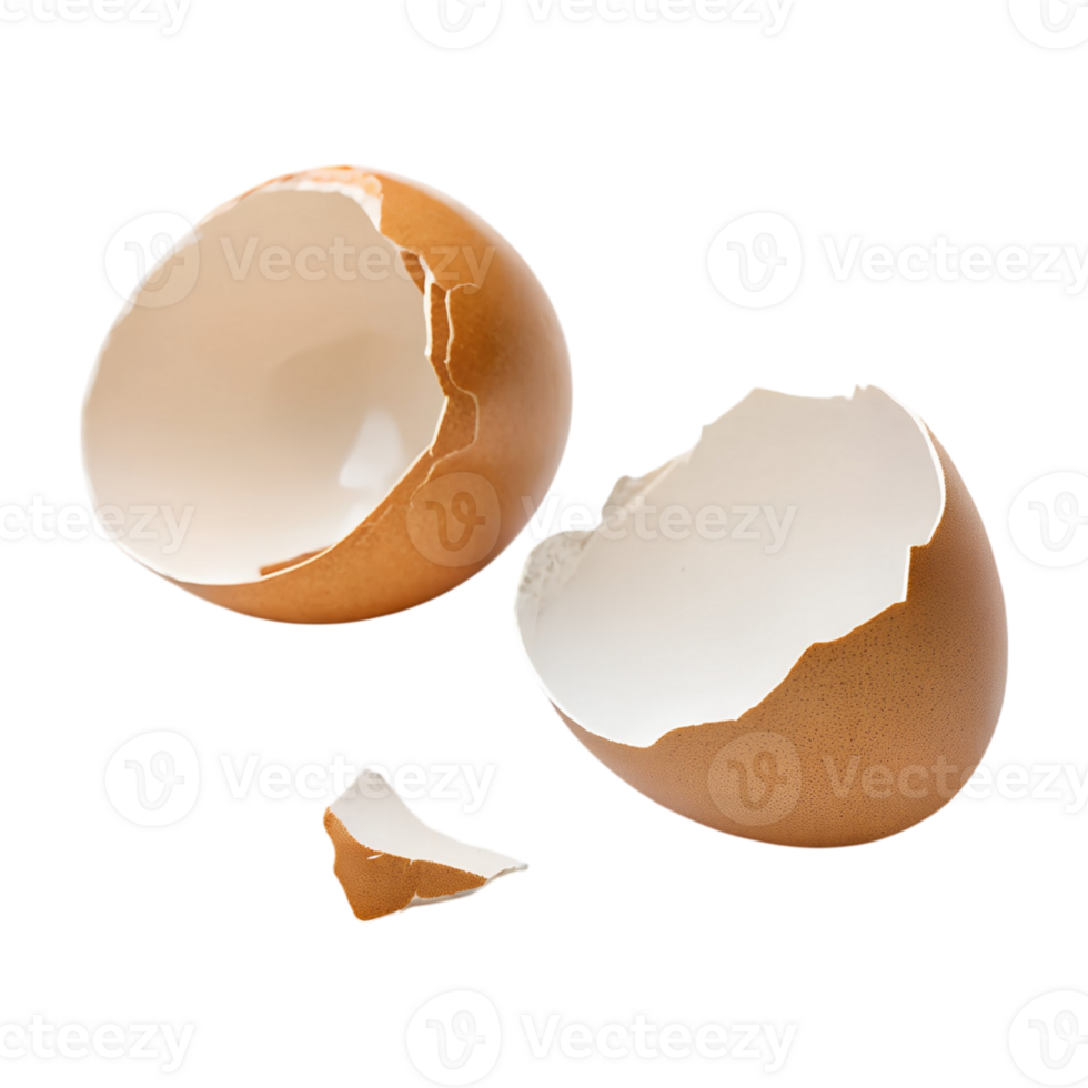 Broken Eggshells Brown Eggshell Fragments png