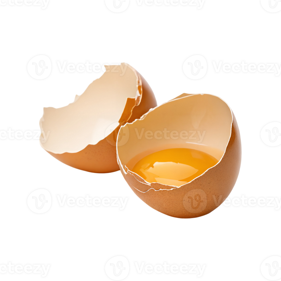 Broken eggshell with yolk remaining inside showing texture and detail png