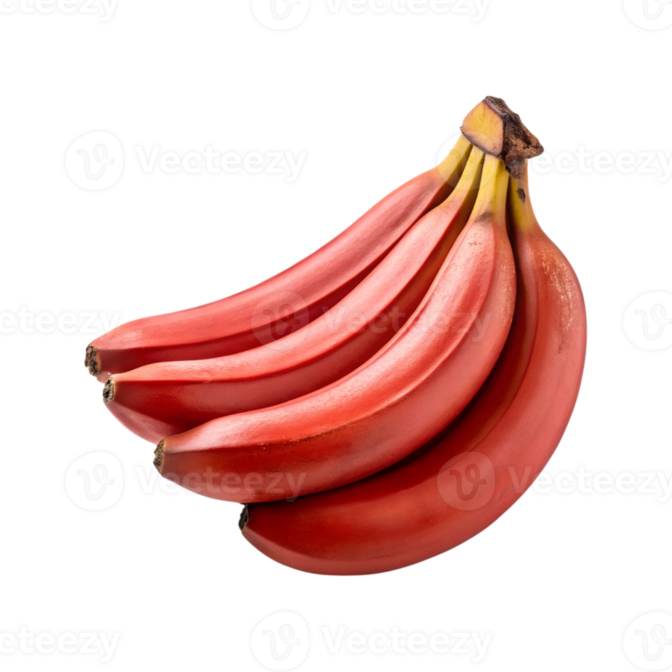 A Bunch of Vibrant Red Bananas Isolated on a Gray Background Fresh Fruit Healthy Eating Tropical Delight png