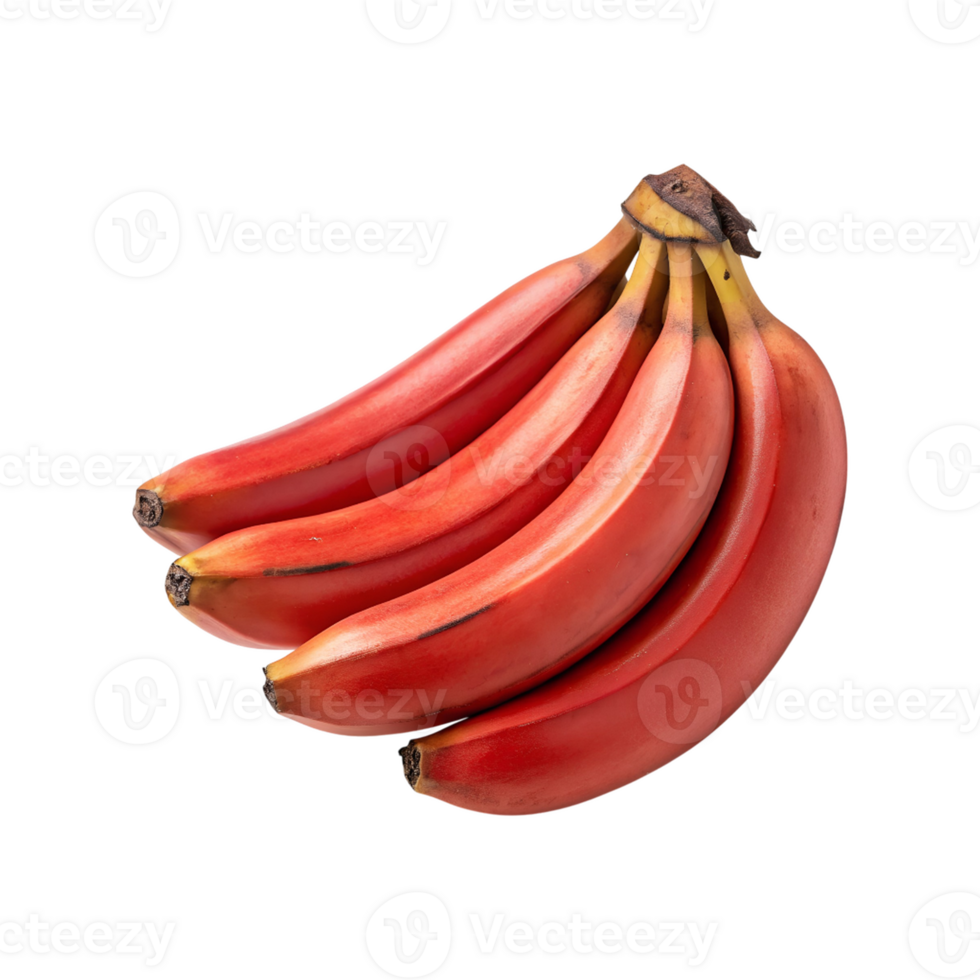 A Bunch of Vibrant Red Bananas Isolated on a Gray Background a Delicious and Healthy Tropical Fruit png
