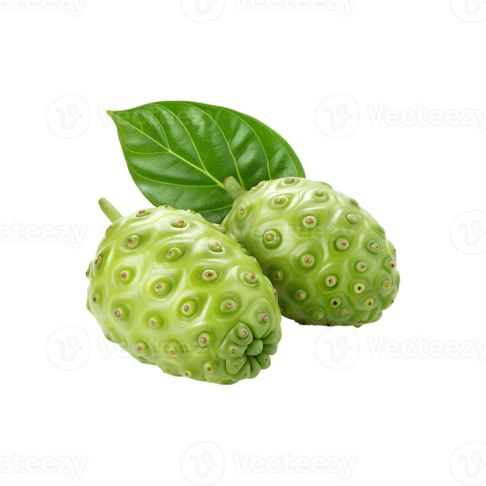 Two Fresh Green Noni Fruits with a Leaf Closeup Studio Shot png