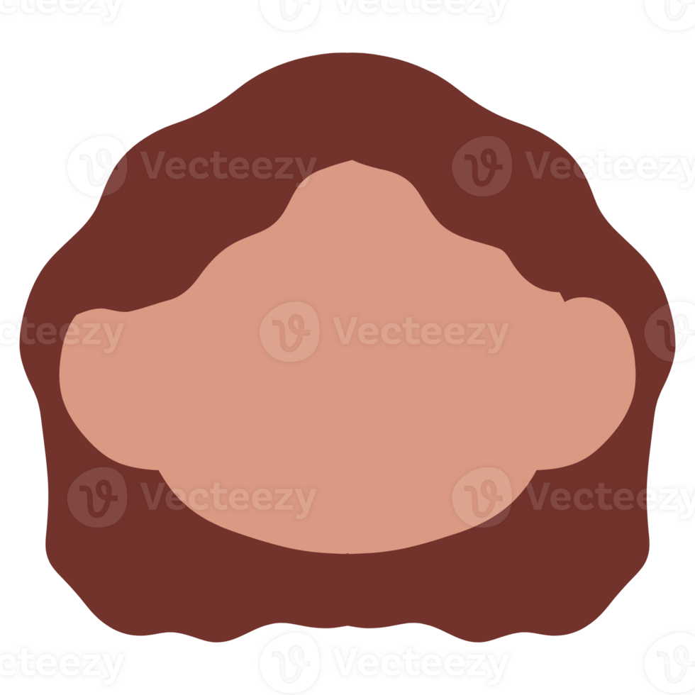 a cartoon head with long hair png