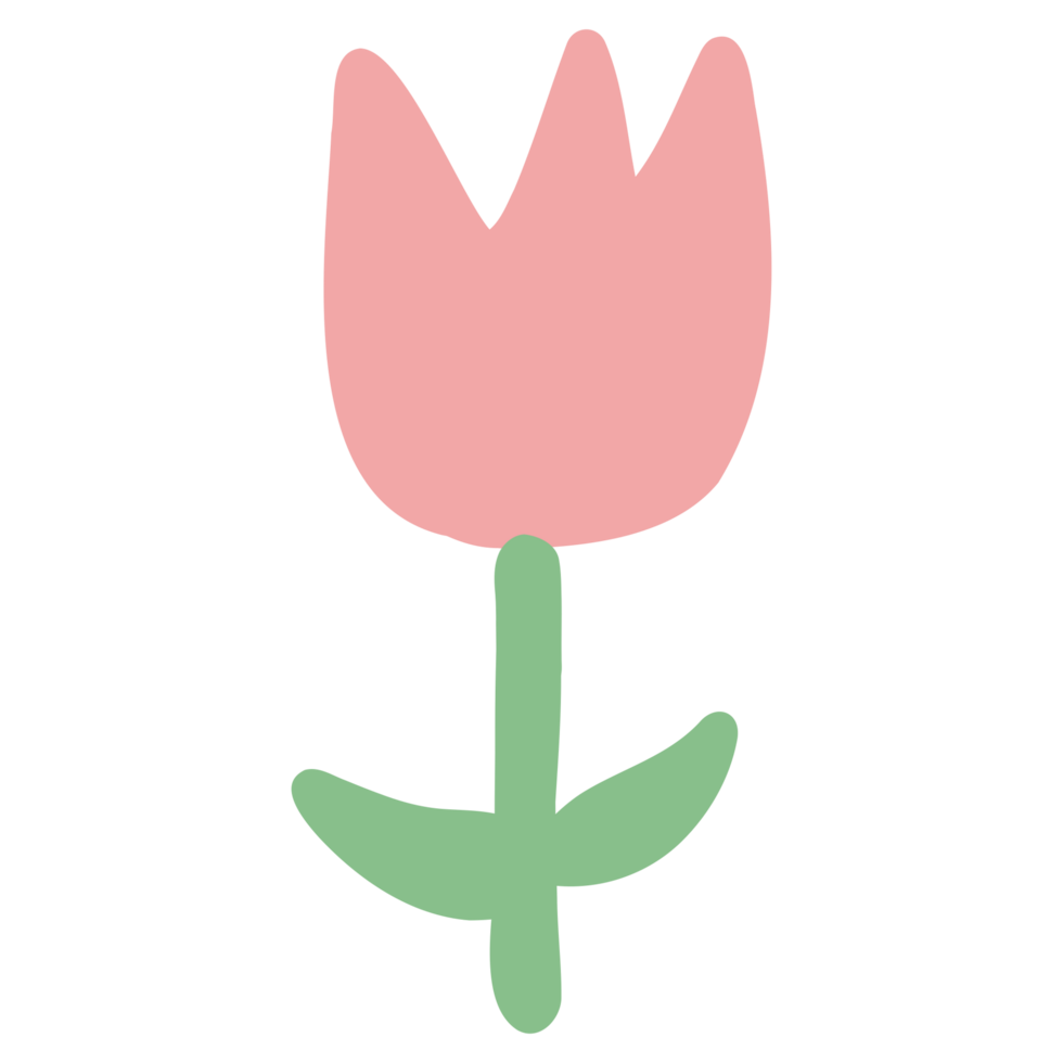 a pink tulip on a transparent background png