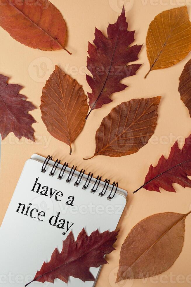 Notebook with a spiral binding is on a table with a variety of autumn leaves photo