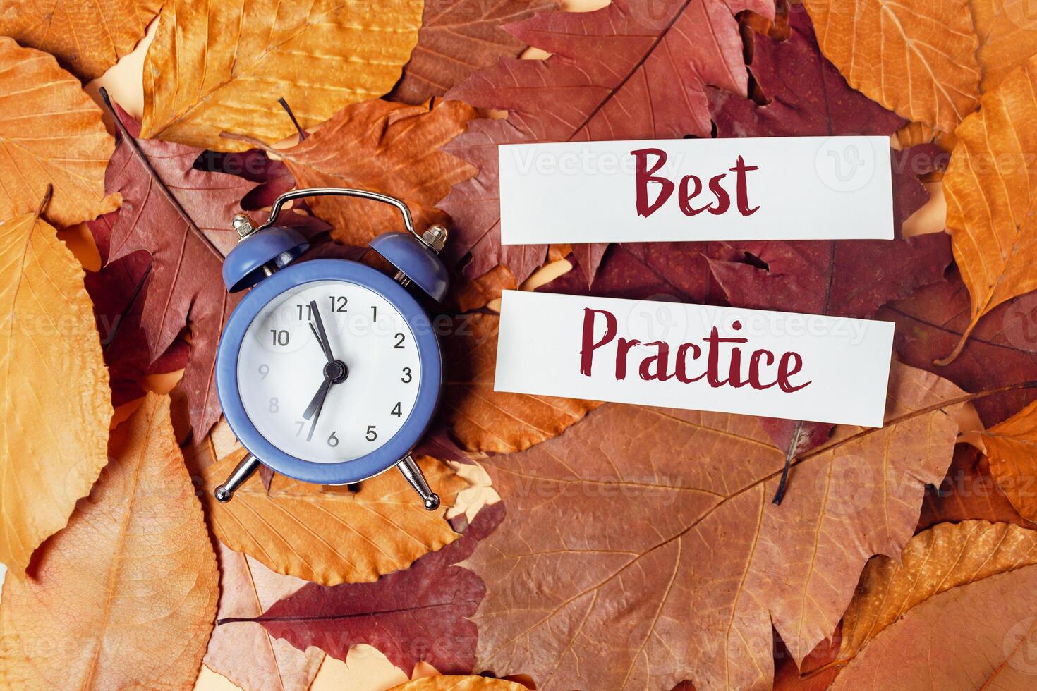 alarm clock is on top of pile of orange leaves photo