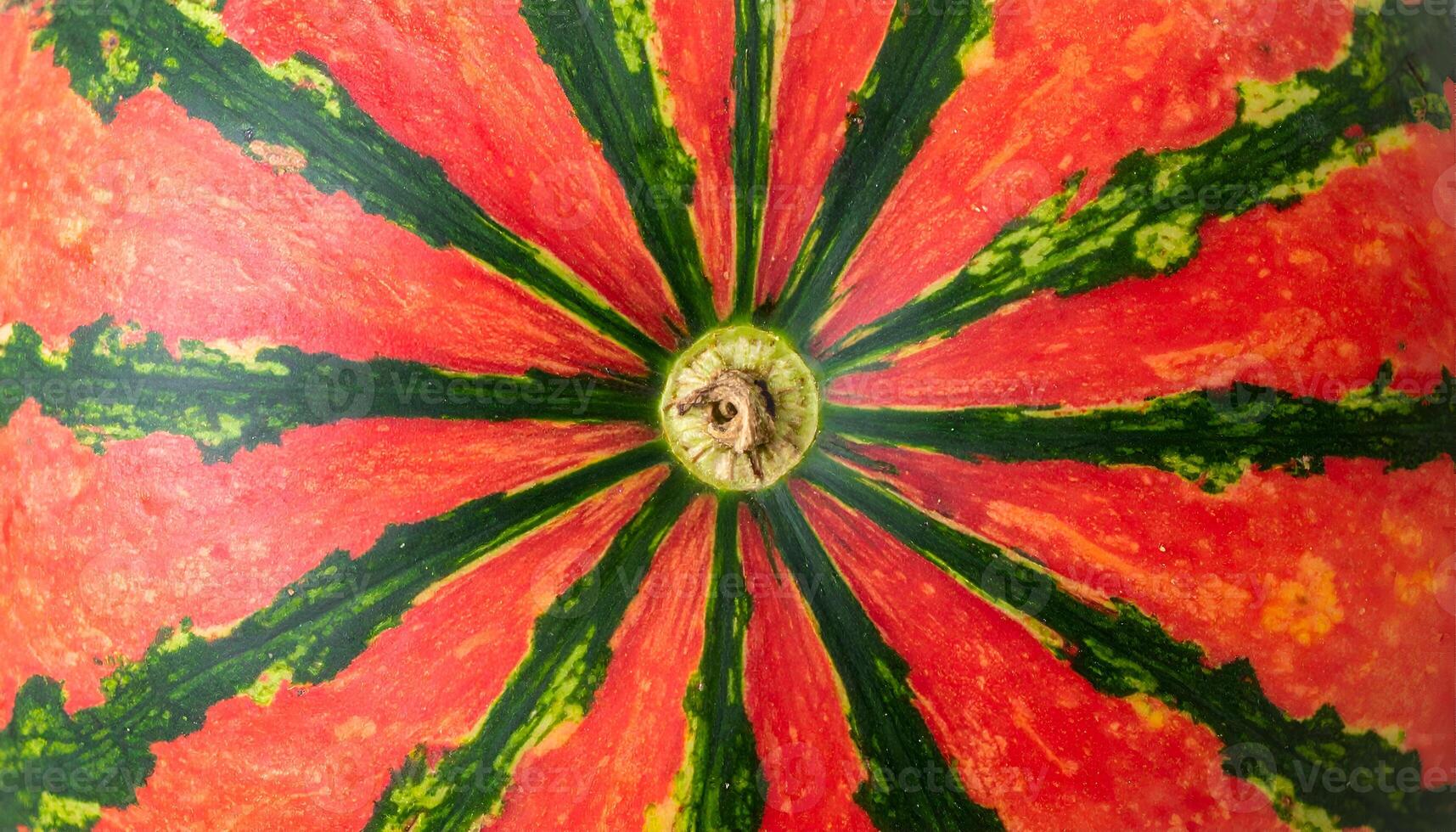 top view of watermelon rind texture with radial green and red stripes, natural fruit skin surface background for summer design and organic food concept photo
