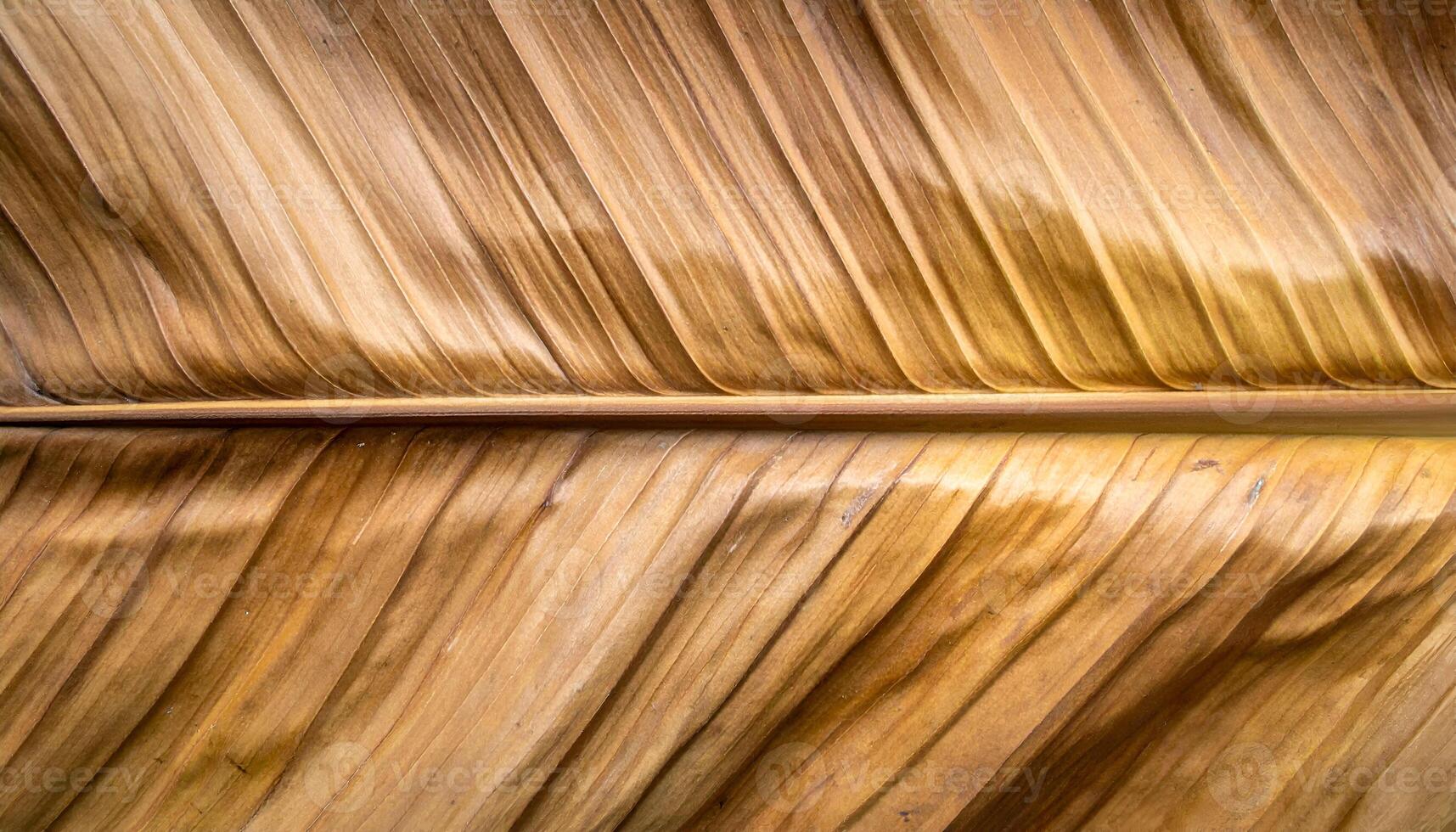 dry banana leaf close-up top view, natural brown texture with organic vein lines and dried surface pattern for tropical background or eco-friendly packaging design photo