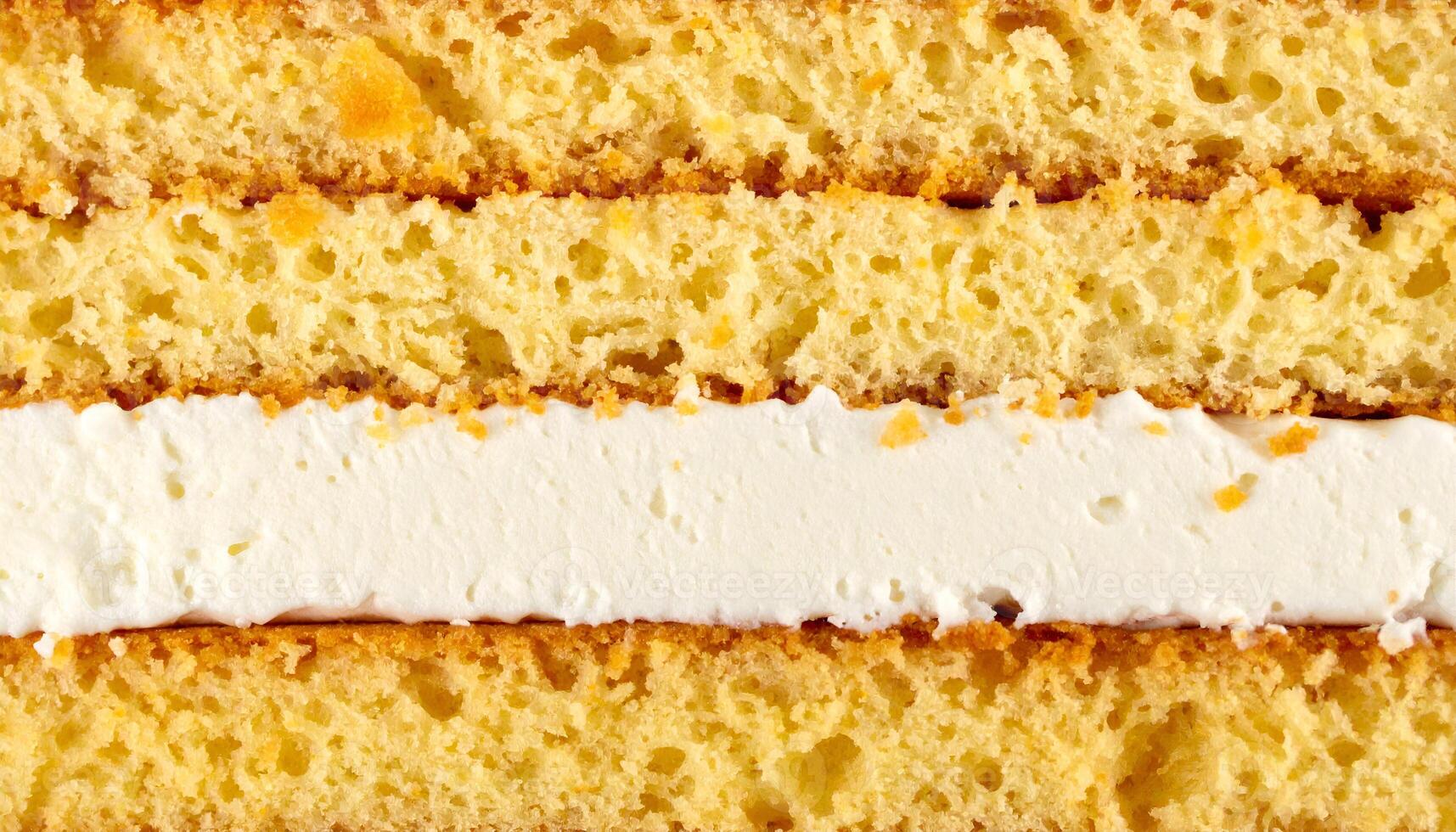 close-up cross-section of fluffy sponge cake slice with thick white cream layer, airy yellow cake texture background for dessert design and food packaging photo