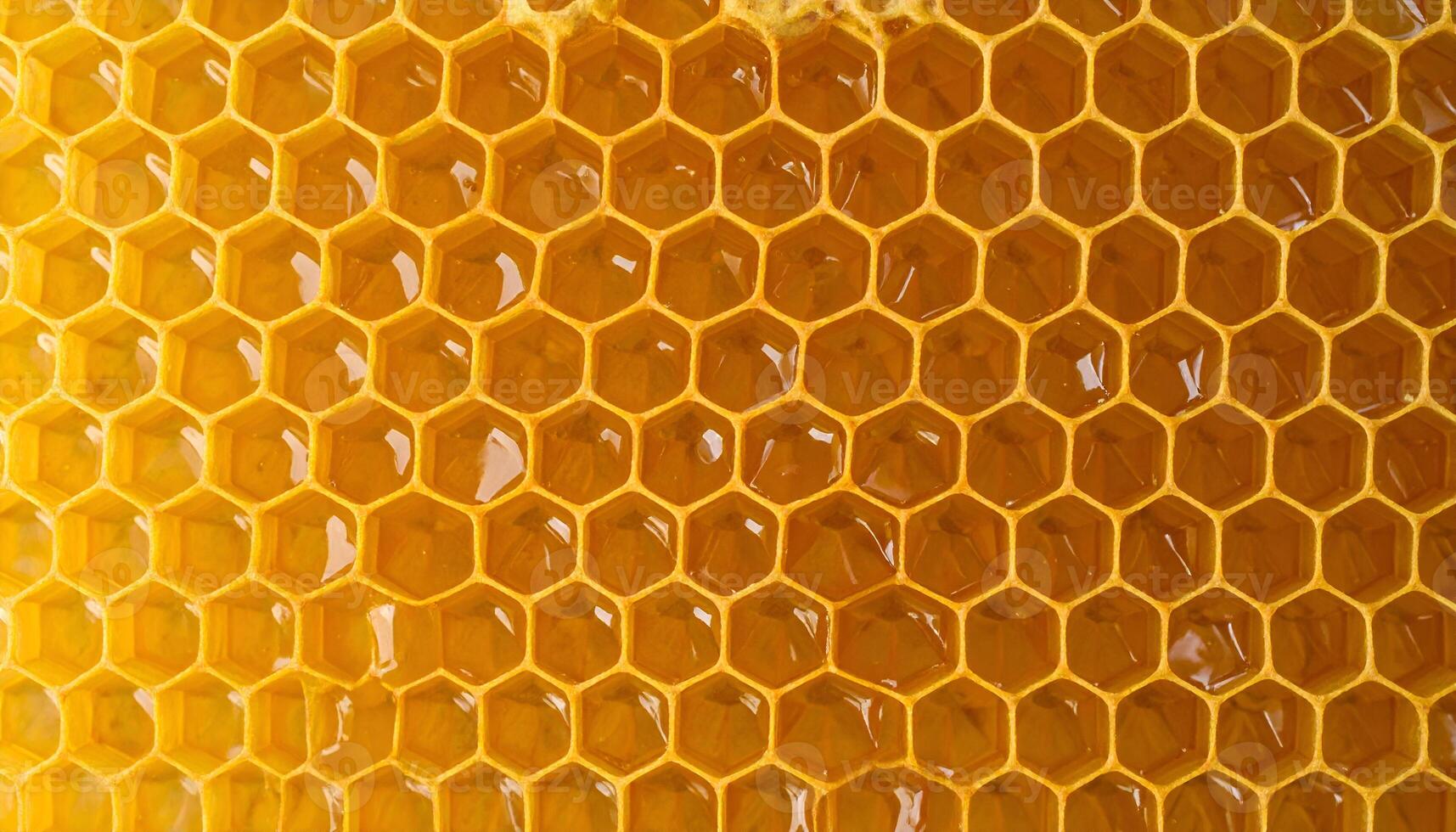macro honeycomb texture filled with golden honey, hexagonal beeswax pattern, natural organic structure background photo