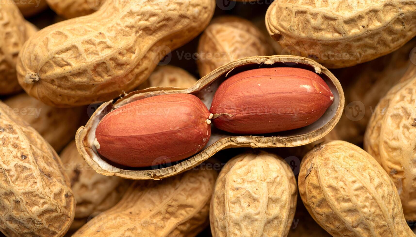 close up of raw peanuts in shell with one cracked open showing red skin kernels, natural snack and protein food background photo