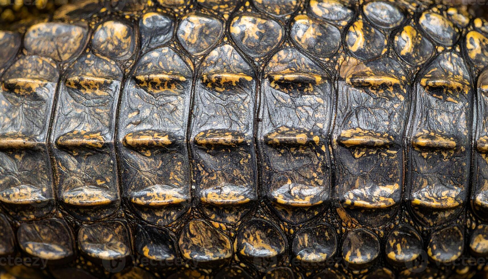 macro close-up of rugged reptile scale texture, detailed crocodile or alligator skin pattern with natural brown and yellow tones for exotic leather or background design photo