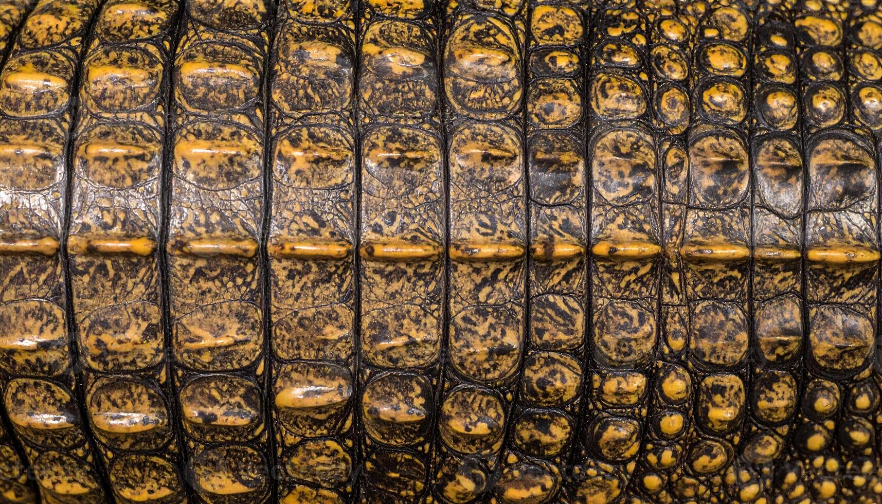 close-up of reptile skin texture with vivid yellow and brown scale pattern, detailed exotic animal surface for leather design or organic background photo
