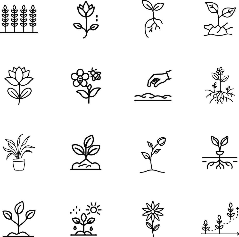 Plant Growth Stages Icons of Seedling, Sprout, Flower, and Bloom vector