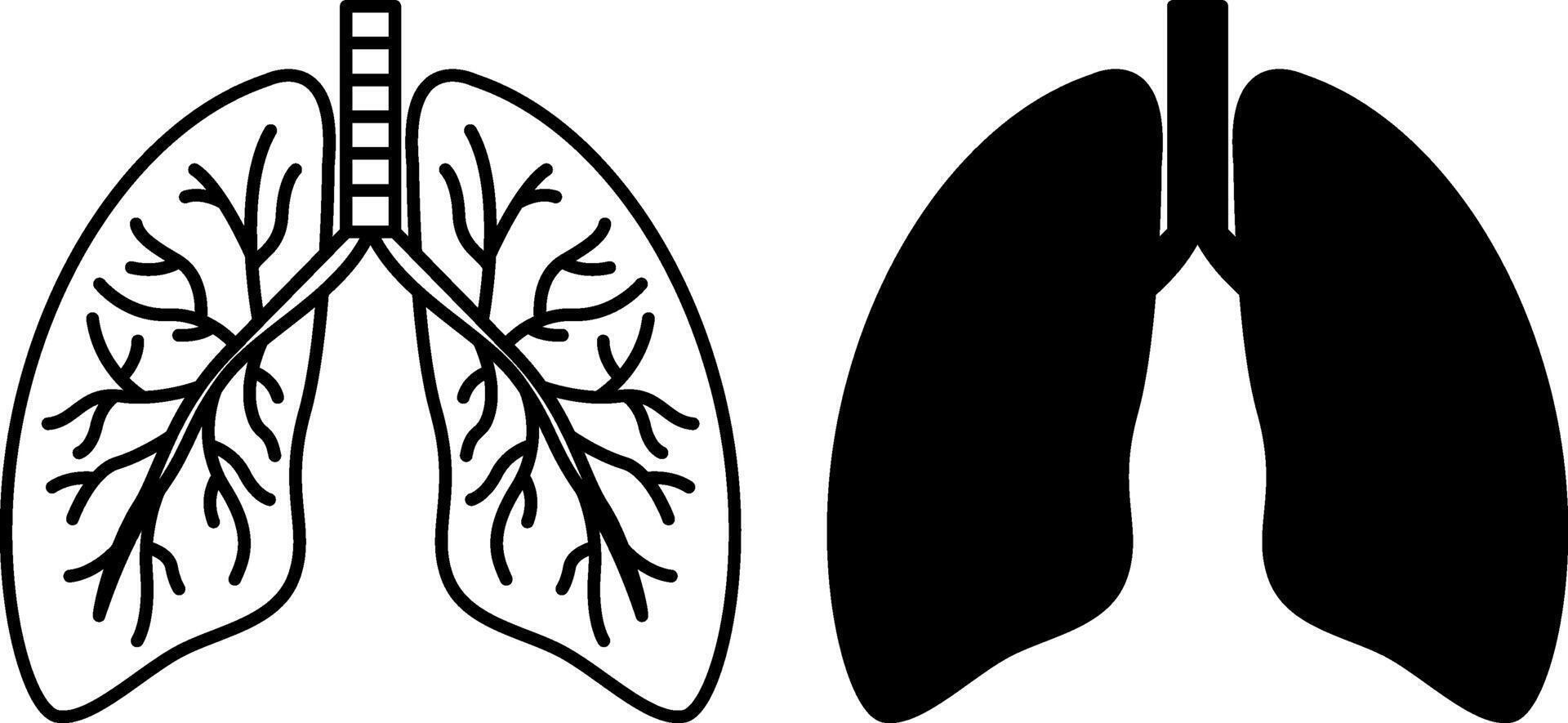 Lungs Icons. Black And White Illustration. Paired Organs Of The Respiratory System Located In The Chest Cavity. Human Organs. Concept Anatomy vector