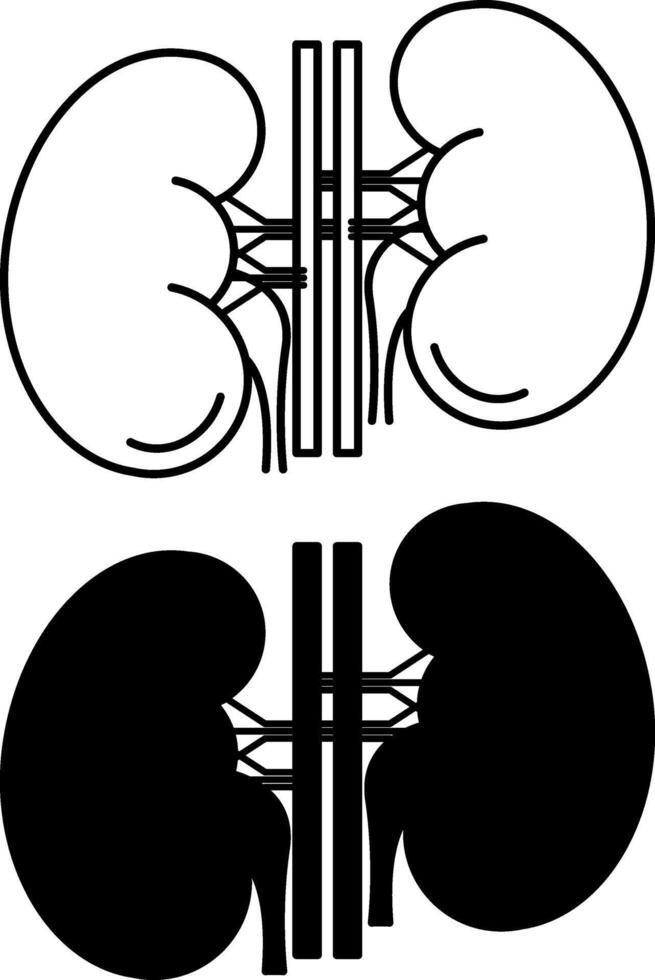 Kidneys Icons. Black and White Illustration. Paired Organs That Filter Blood From Toxins. Human Organs. Concept Anatomy vector