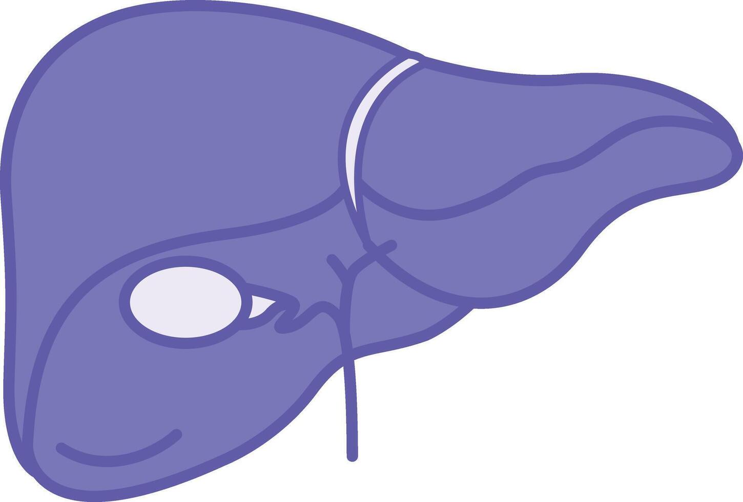 Colored Liver Icon. Illustration. The Largest Internal Human Organ. Concept Anatomy vector