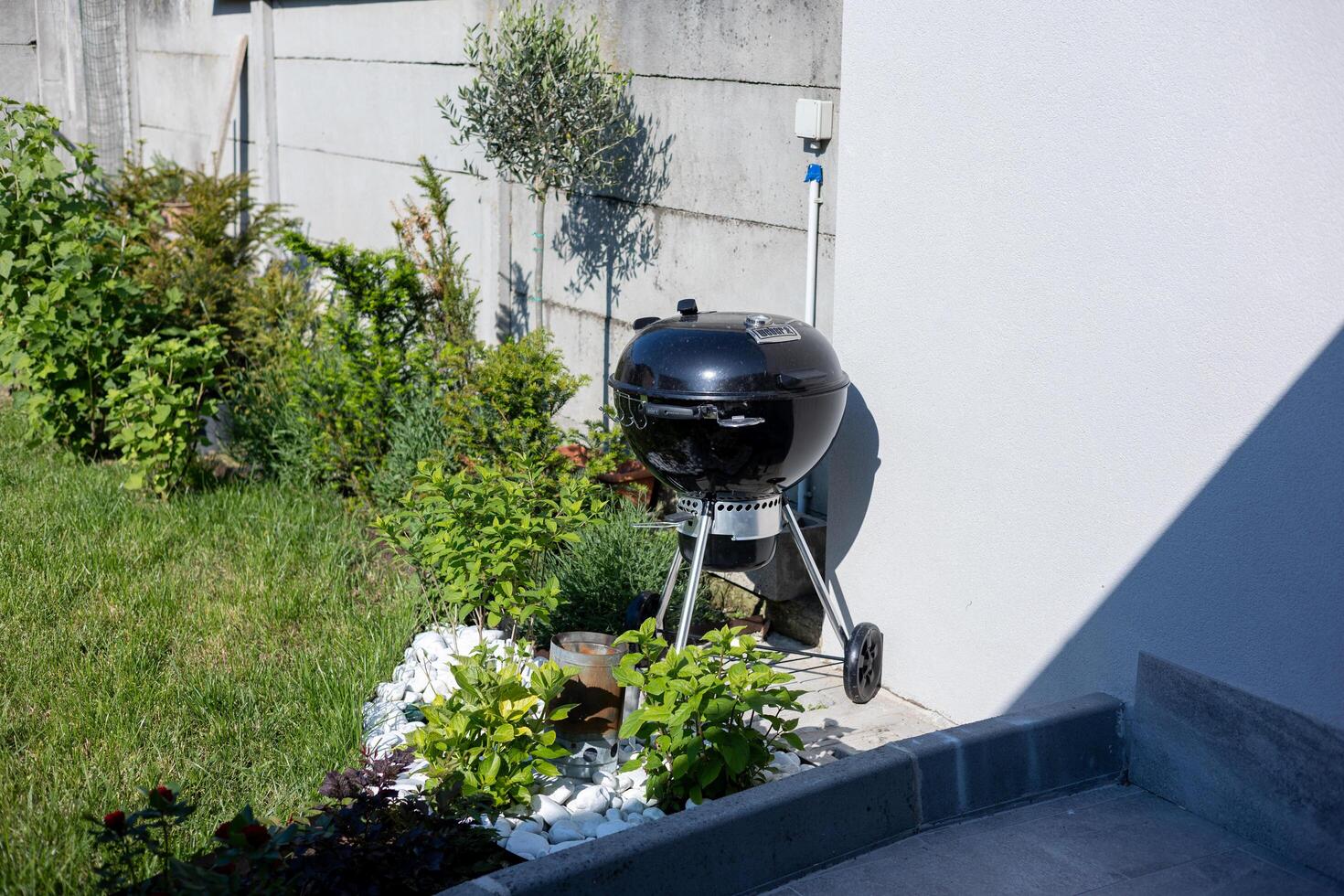Piacenza, Italy - May 11, 2025Black kettle barbecue grill Weber standing on wheels in a garden with green grass, various plants next to a house wall on a sunny summer day ready for a barbecue party photo
