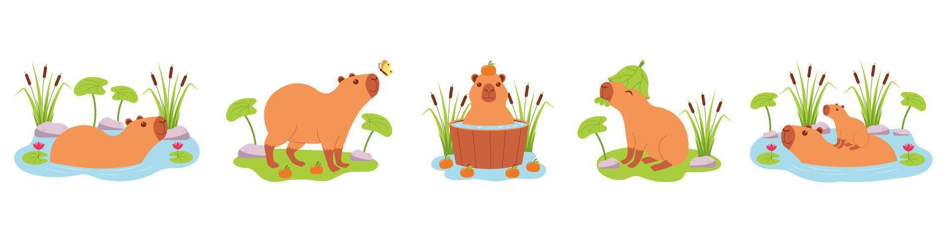 Cute capybaras characters set. Capibaras in different actions, they swimming in water, bathing, walking, eating. vector