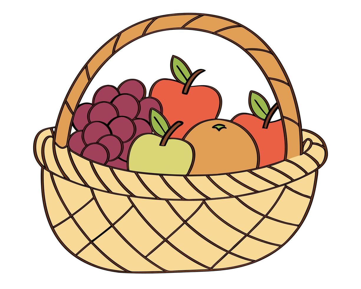 Colorful illustration of a wicker basket filled with fresh grapes apples and oranges vector