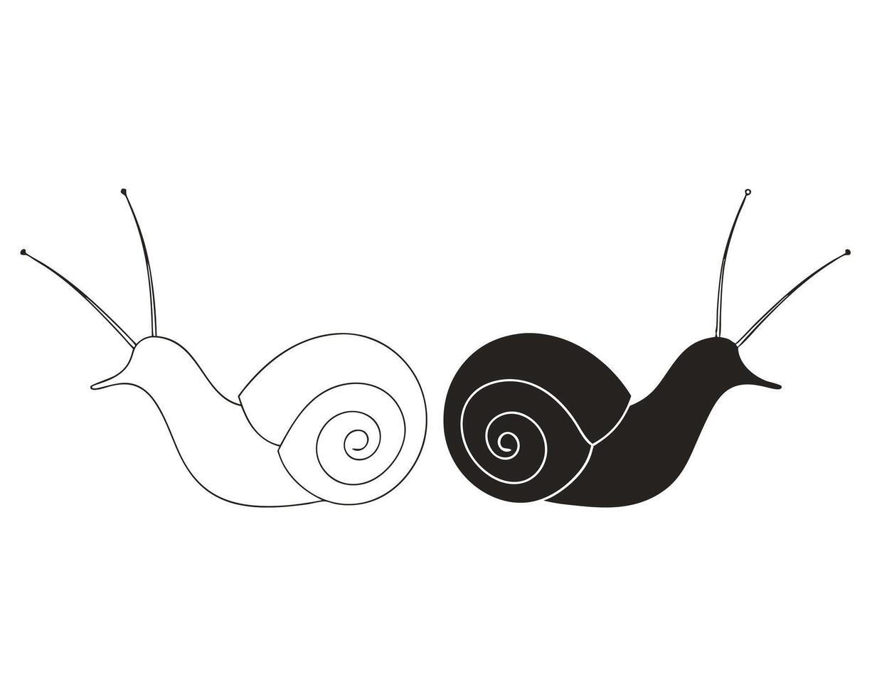 Two stylized snails one outline and the other solid black for design and illustration vector