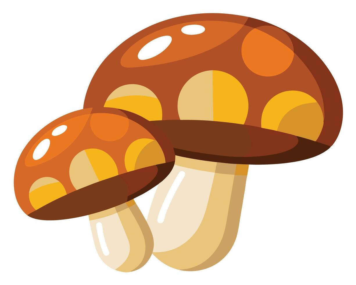 Two stylized brown and orange mushrooms perfect for nature themed illustrations and designs vector