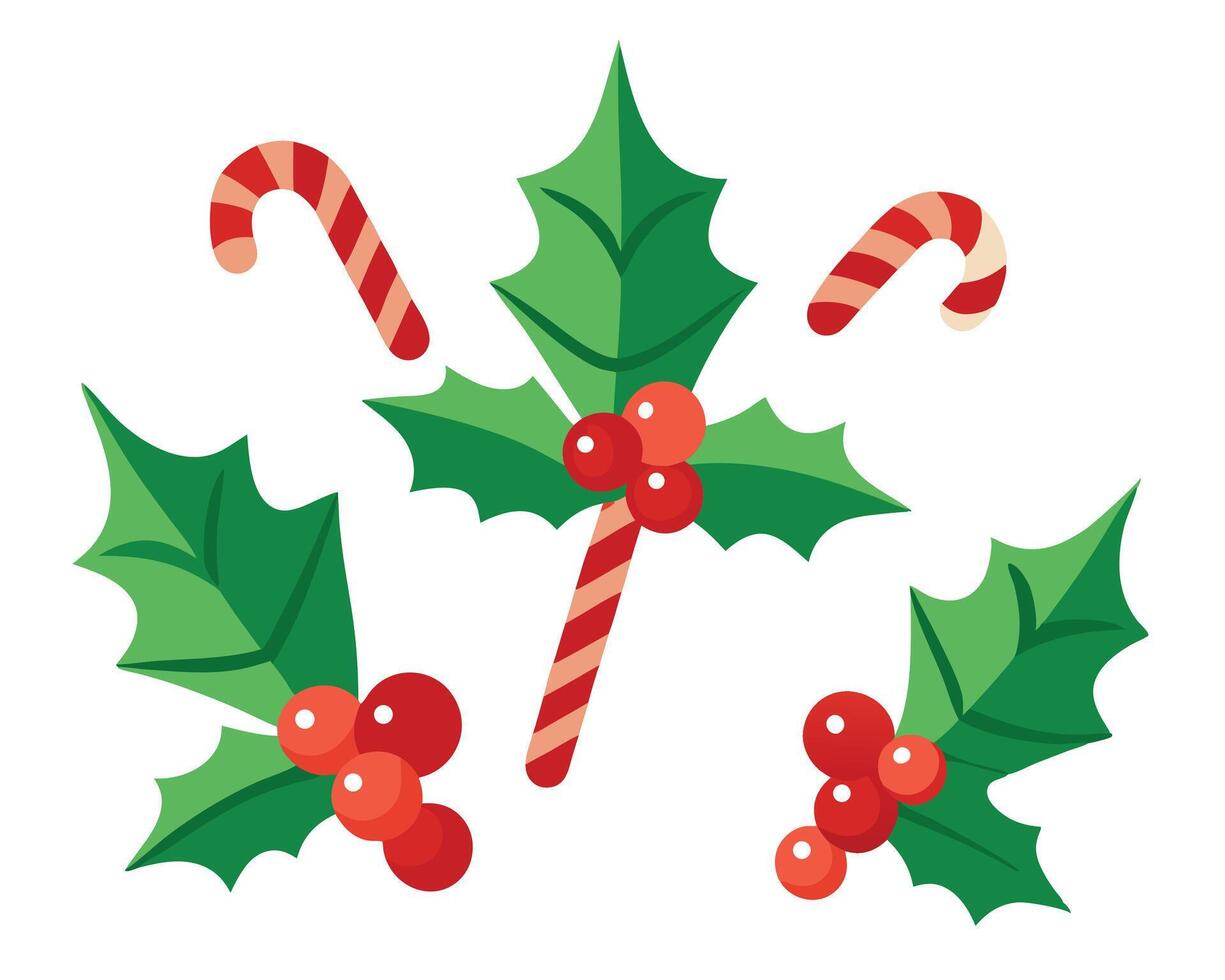 Festive christmas illustration featuring holly berries and candy canes isolated on a white background vector