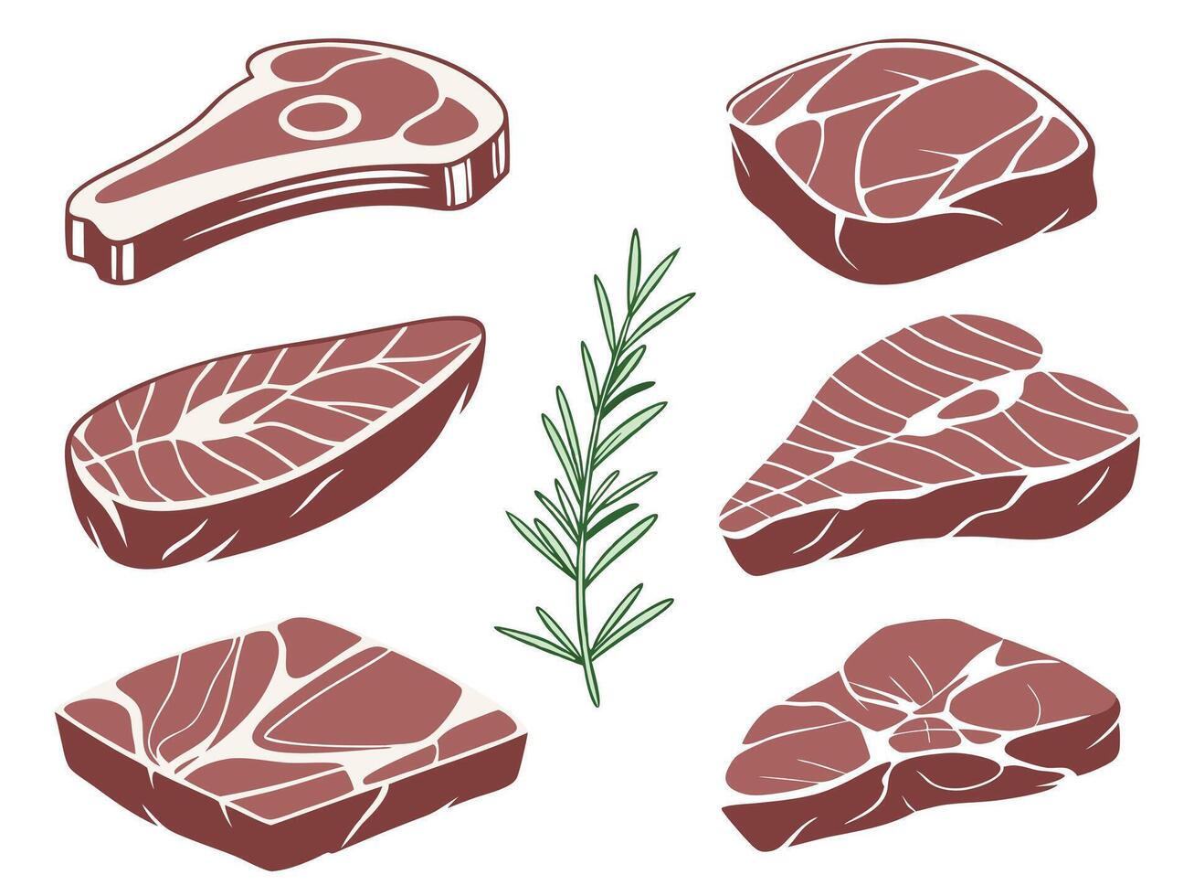 Illustrated graphics of various cuts of beef with rosemary for culinary and butcher usage vector