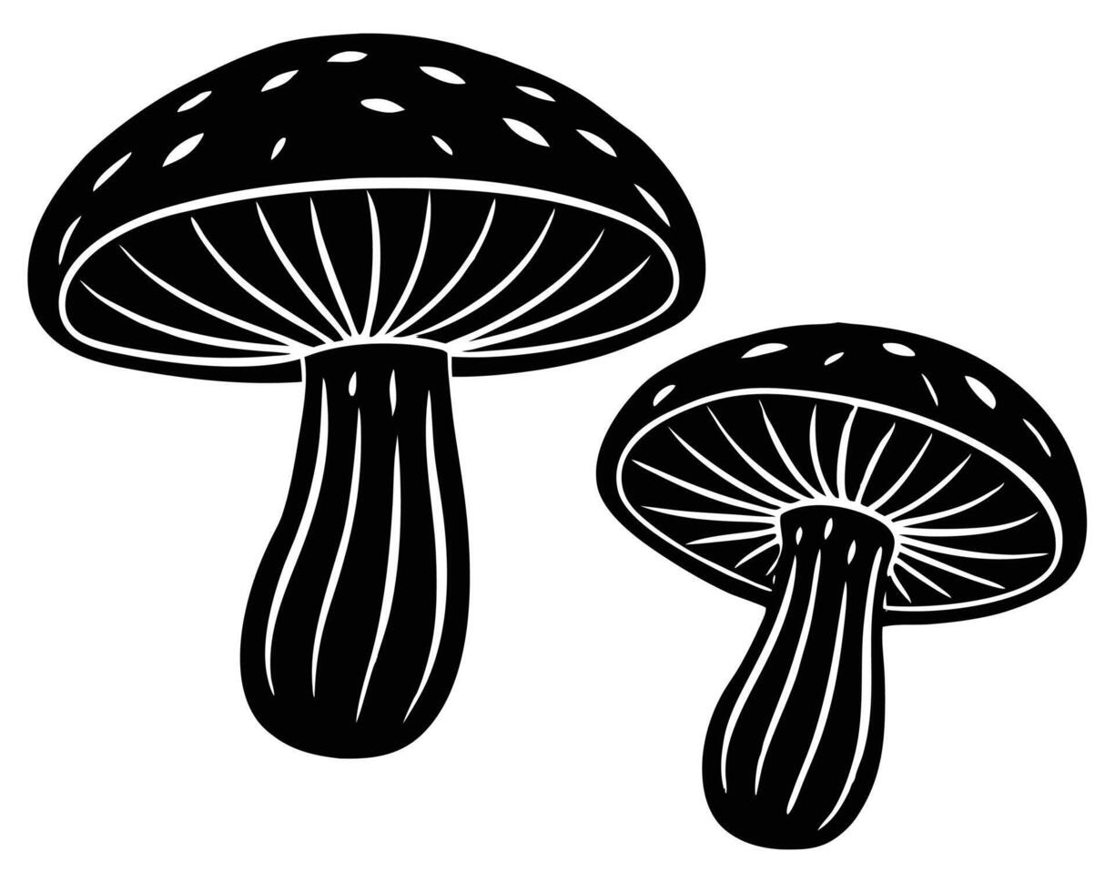 Simple black and white illustration featuring two stylized mushrooms on a bright white background vector