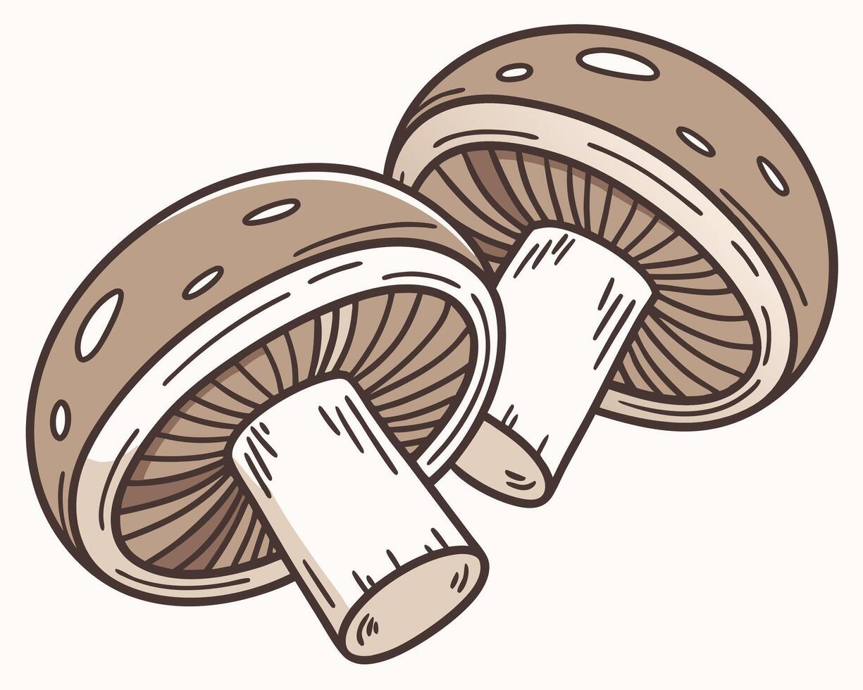 Two stylized brown and white mushroom illustrations suitable for cooking and natural food related designs. vector