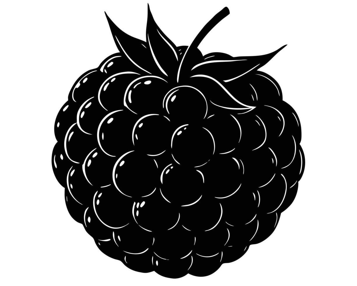Detailed black and white illustration of a ripe and juicy blackberry on white background vector