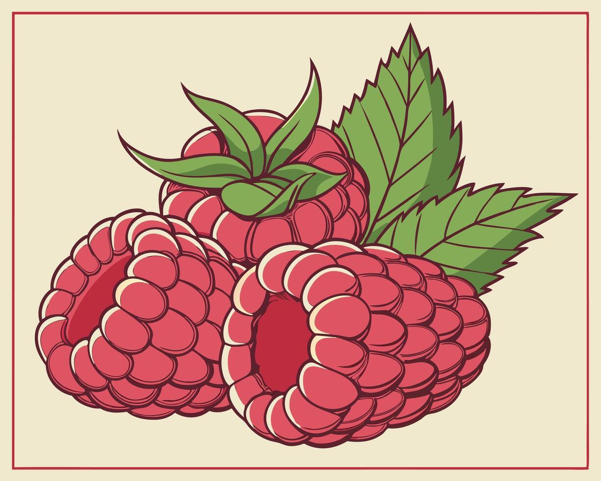 Freshly picked vibrant raspberries illustration with green leaves on a cream-colored background for design elements vector