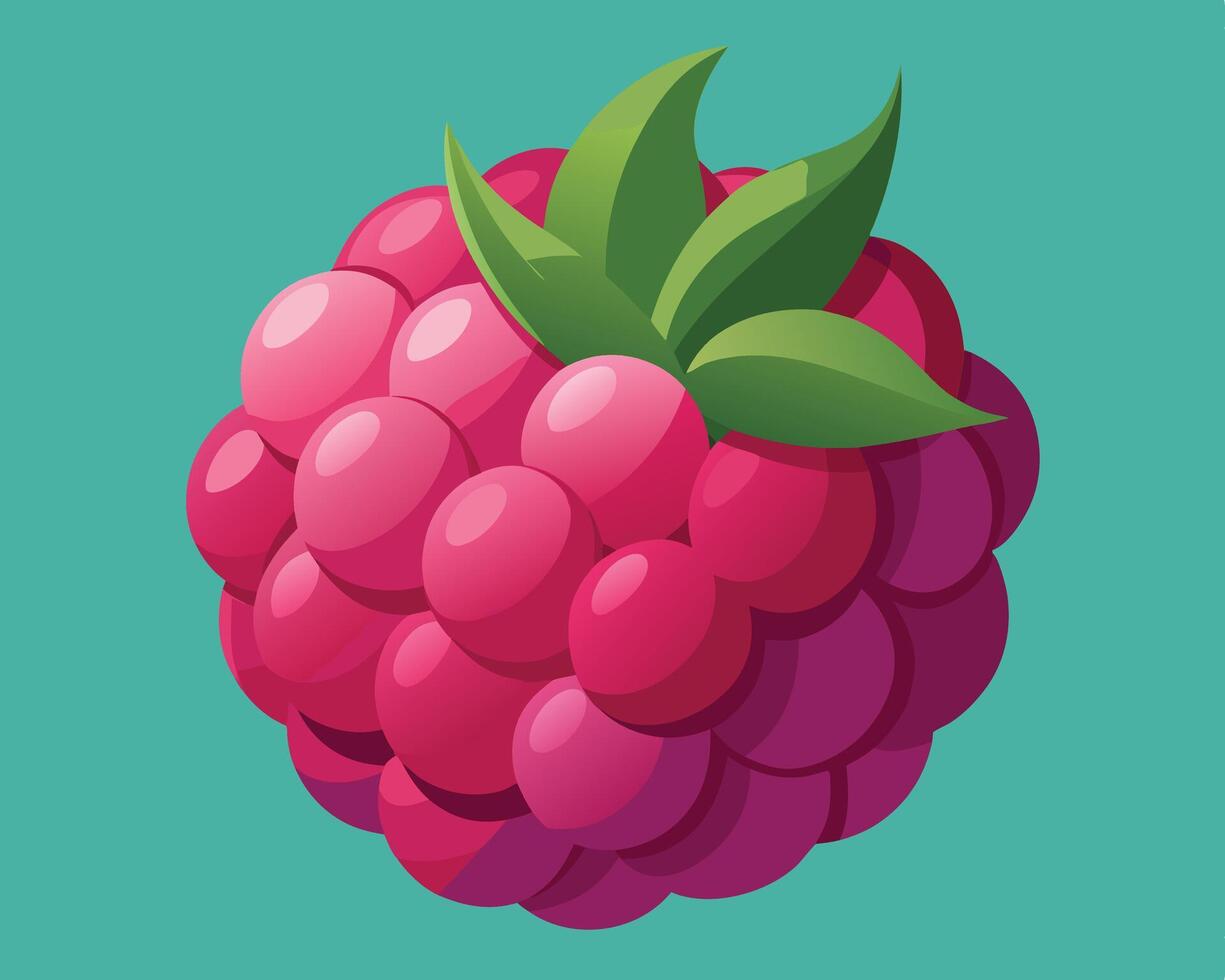 Delicious cartoon style raspberry illustration with green leaves against a turquoise background vector