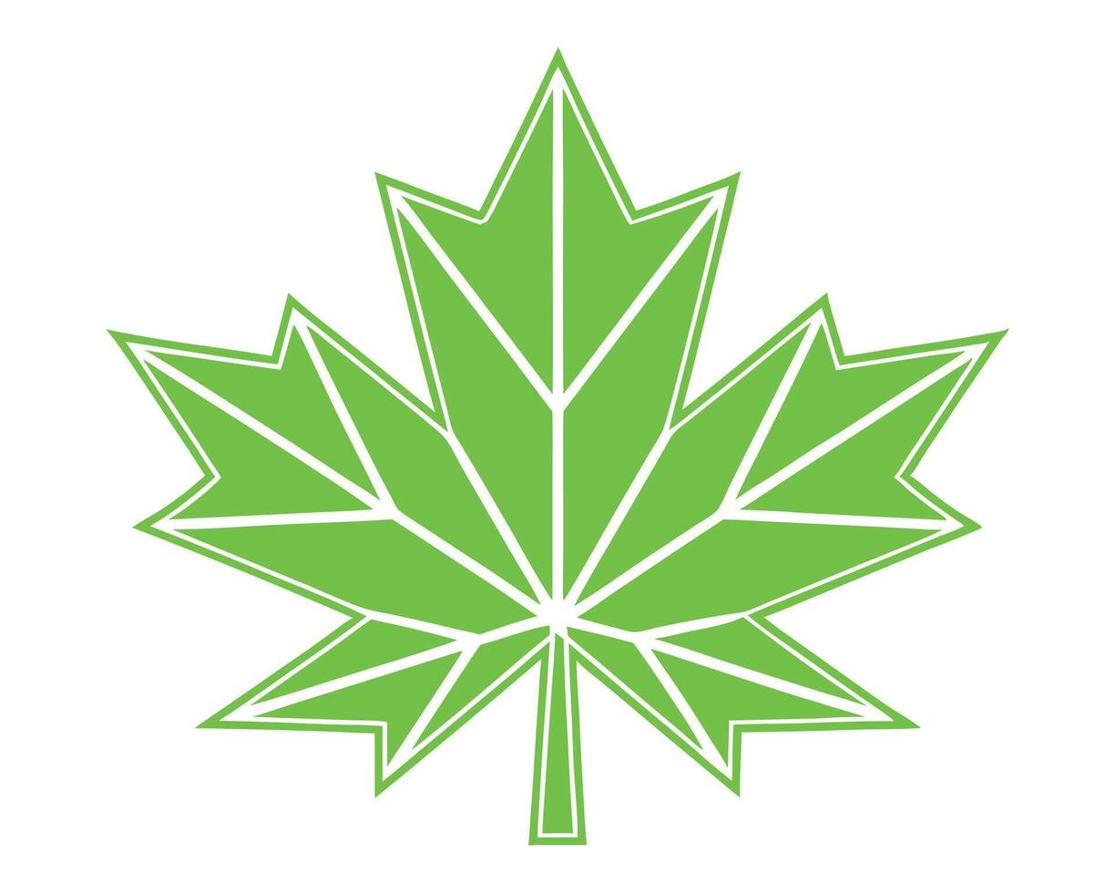 A stylized green maple leaf illustration isolated on a white background vector
