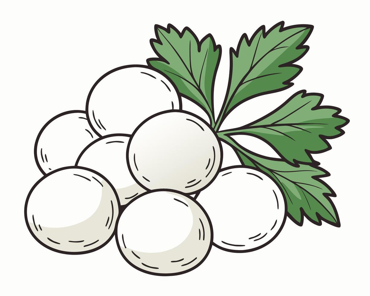 Artistic illustration of mozzarella cheese balls with fresh green celery leaves vector