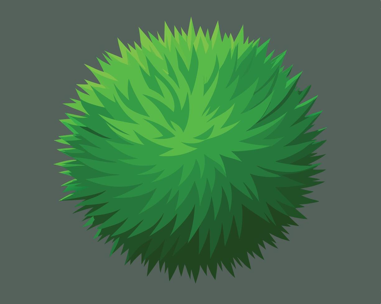 Top view illustration of a stylized green bush with shaded green foliage for design elements vector