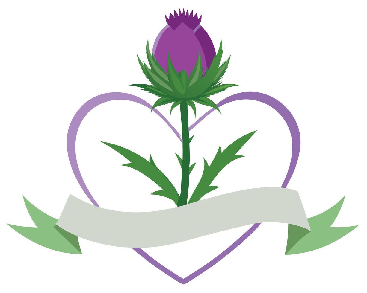 Scottish thistle flower design with heart shape and banner on white background vector