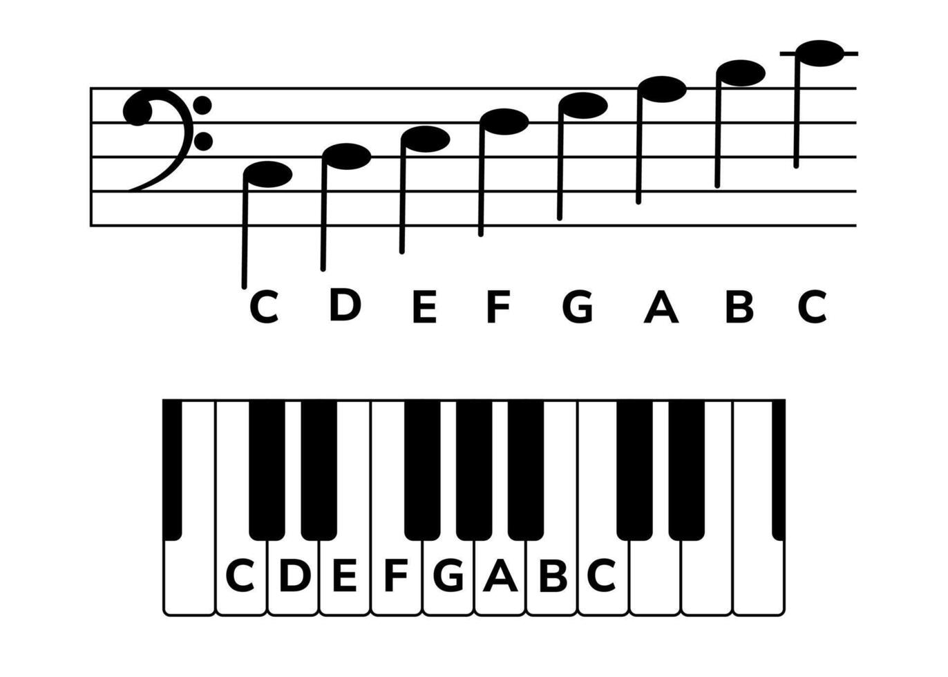 Musical staff and a piano keyboard with notes. Musical infographic with C major in bass clef for music piano lessons, educational apps. Correlation between the staff and piano keys vector